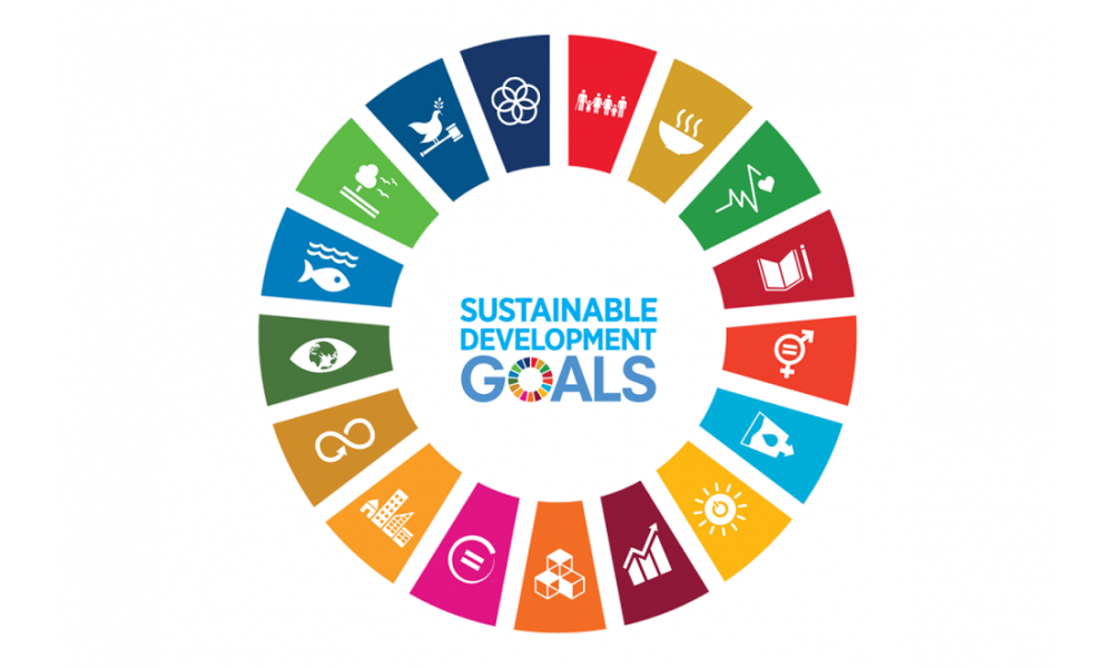 UN Sustainability Goals